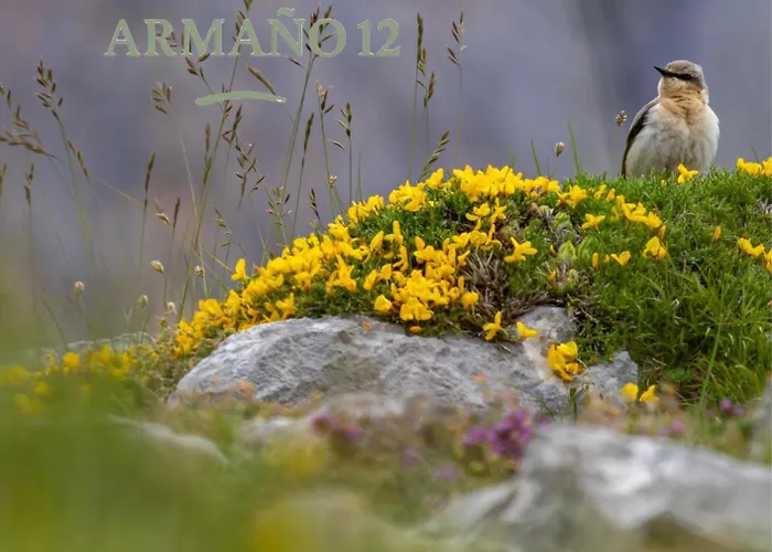 12 Prázdninový dům Armano